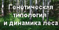 Сайт Н.С. Ивановой Генетическая типология и динамика
леса width=